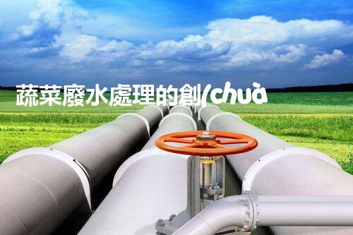 蔬菜廢水處理的創(chuàng)新之路？揭秘綠色科技的以后！